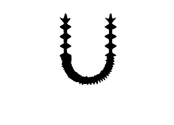 Crazy Spiky Cactus Themed Mono U for Graphics and Crafts