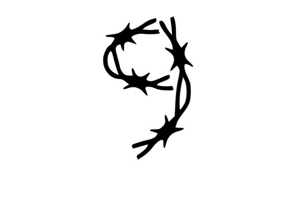 Sharp Barbed Security Wire: A Bold Graphics Choice for Crafts
