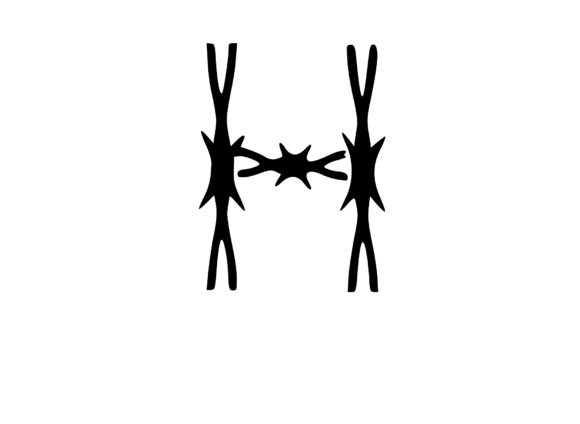 Sharp Barbed Security Wire Mono: A Bold Graphics Choice for Crafts